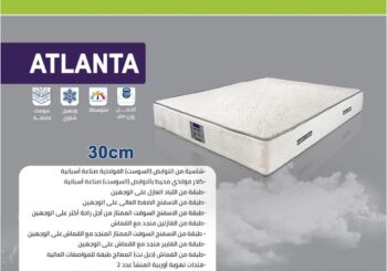 اتلانتا - ارتفاع +/- 30 سم - Image 2