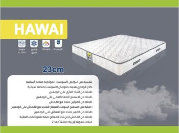هاواي - ارتفاع +/- 23 سم - Image 4